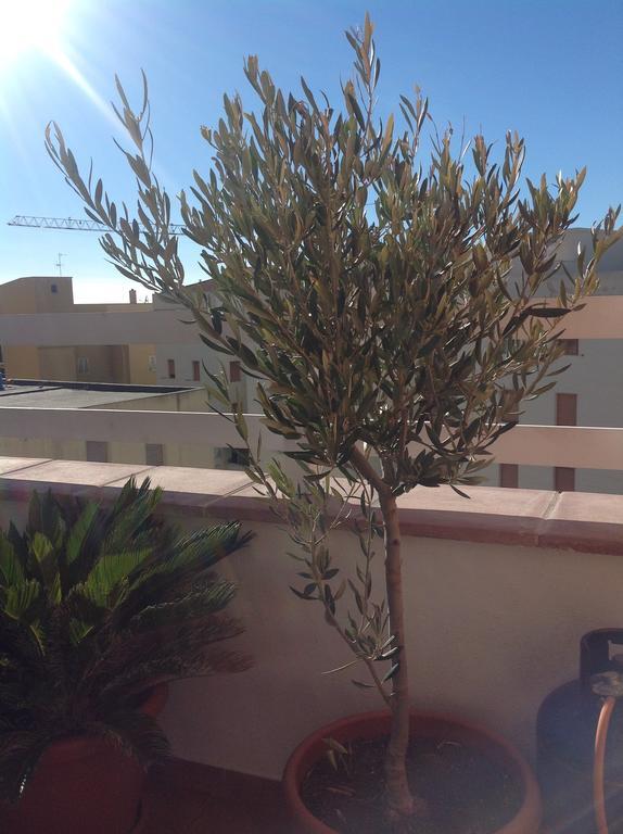 Villamari Apartment Alghero Ngoại thất bức ảnh